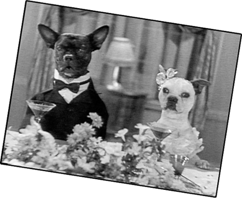 FCACC Tuxes and Tails